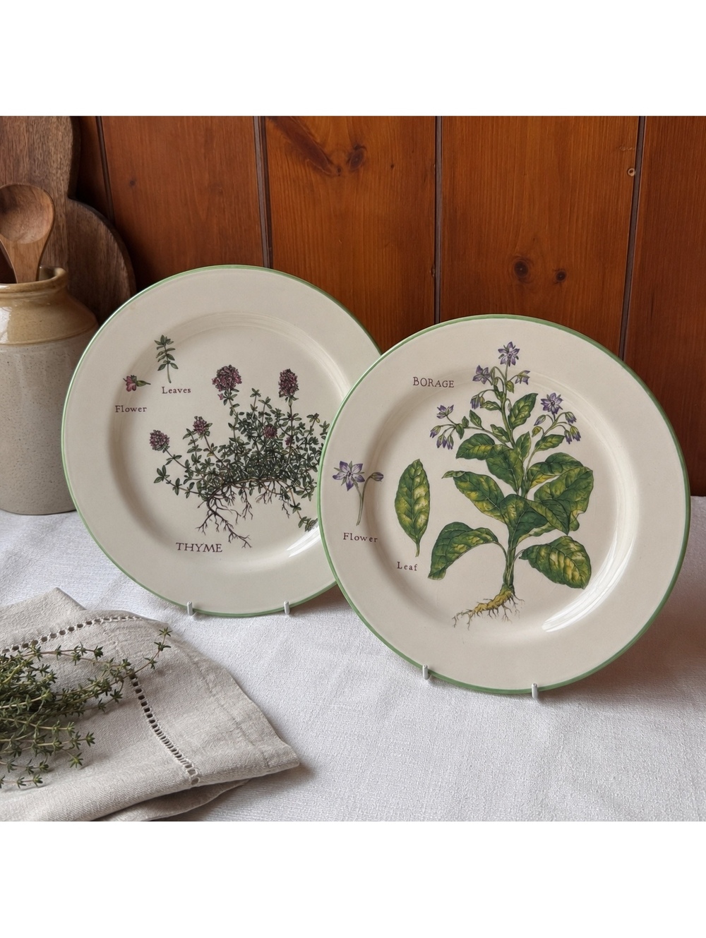 Vintage Williams Sonoma Culinary Herbs Plates Set Of 2 Thyme Borage 9 Inch